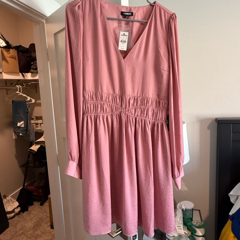 Express Dusty Rose Long Sleeve Dress